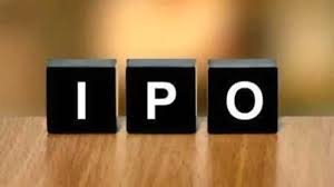 Institutional Investors Increase Stakes in Upcoming IPOs Despite Weakness