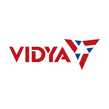 Vidya Wires Joins Meesho & Aequs in Busy Listing Day