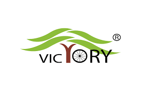 Victory Electric Vehicles SME IPO Opens at ₹41 Per Share