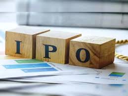 Duroflex, Moneyview, Shreni Shares join IPO pipeline