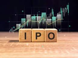 Retail investors turn selective after IPO listing underperformance