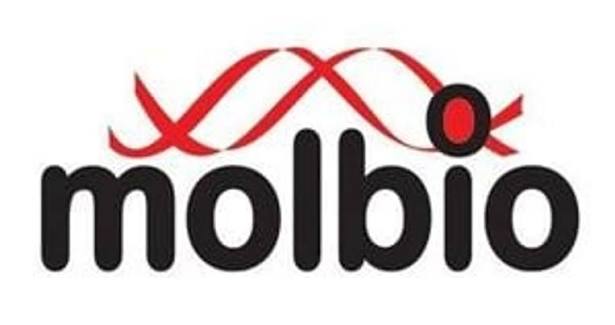 Molbio Diagnostics Ltd – Mainboard IPO Opens Today
