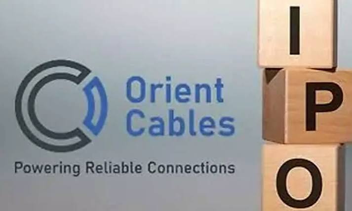 Orient Cables IPO Anchor Round: Raises ₹165.60 Crore