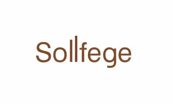Sollfege Smart Electronics Hits 5% Lower Circuit